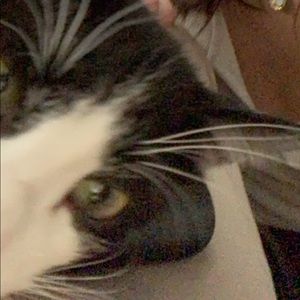 Meet your Posher, Kelly